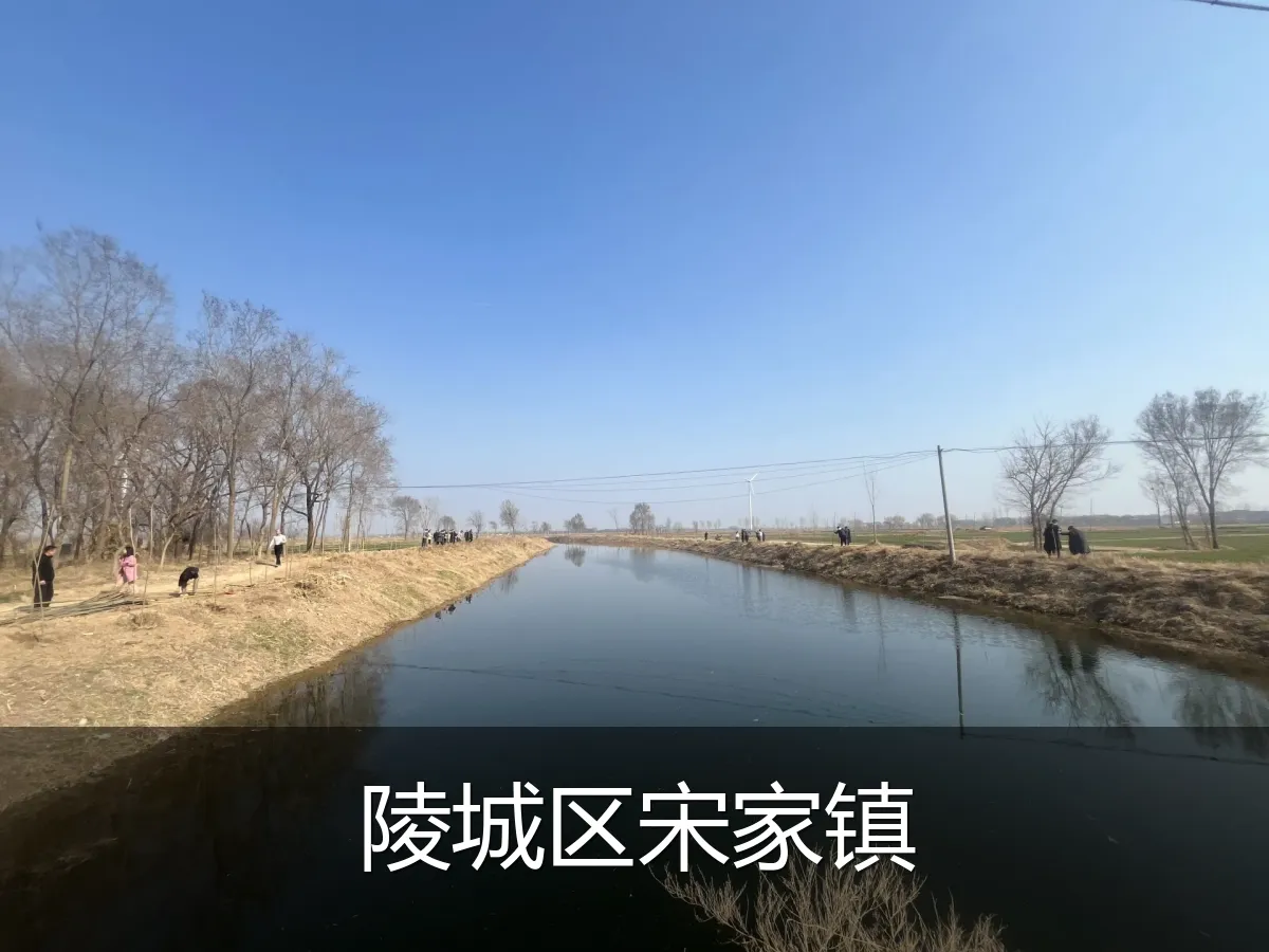 陵城区宋家镇