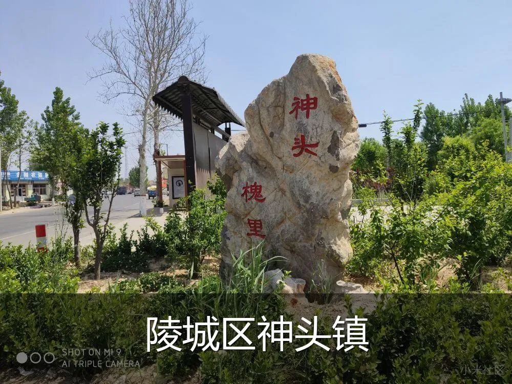 陵城区神头镇
